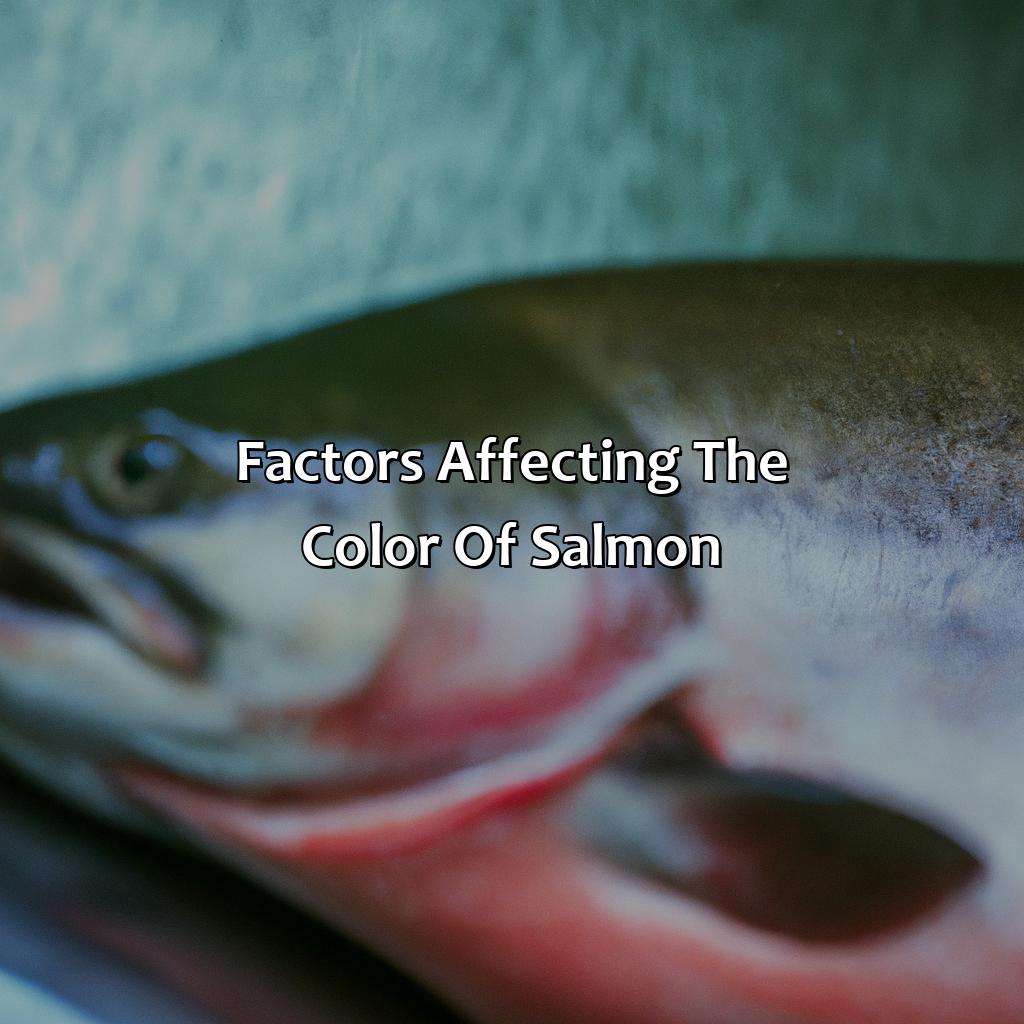 Factors Affecting The Color Of Salmon  - What Color Is Salmon, 