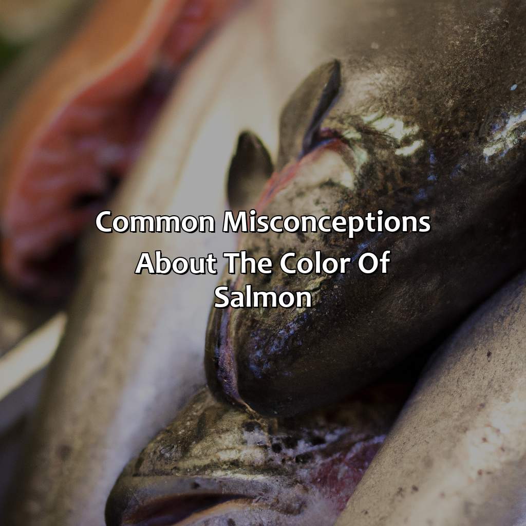 Common Misconceptions About The Color Of Salmon  - What Color Is Salmon, 