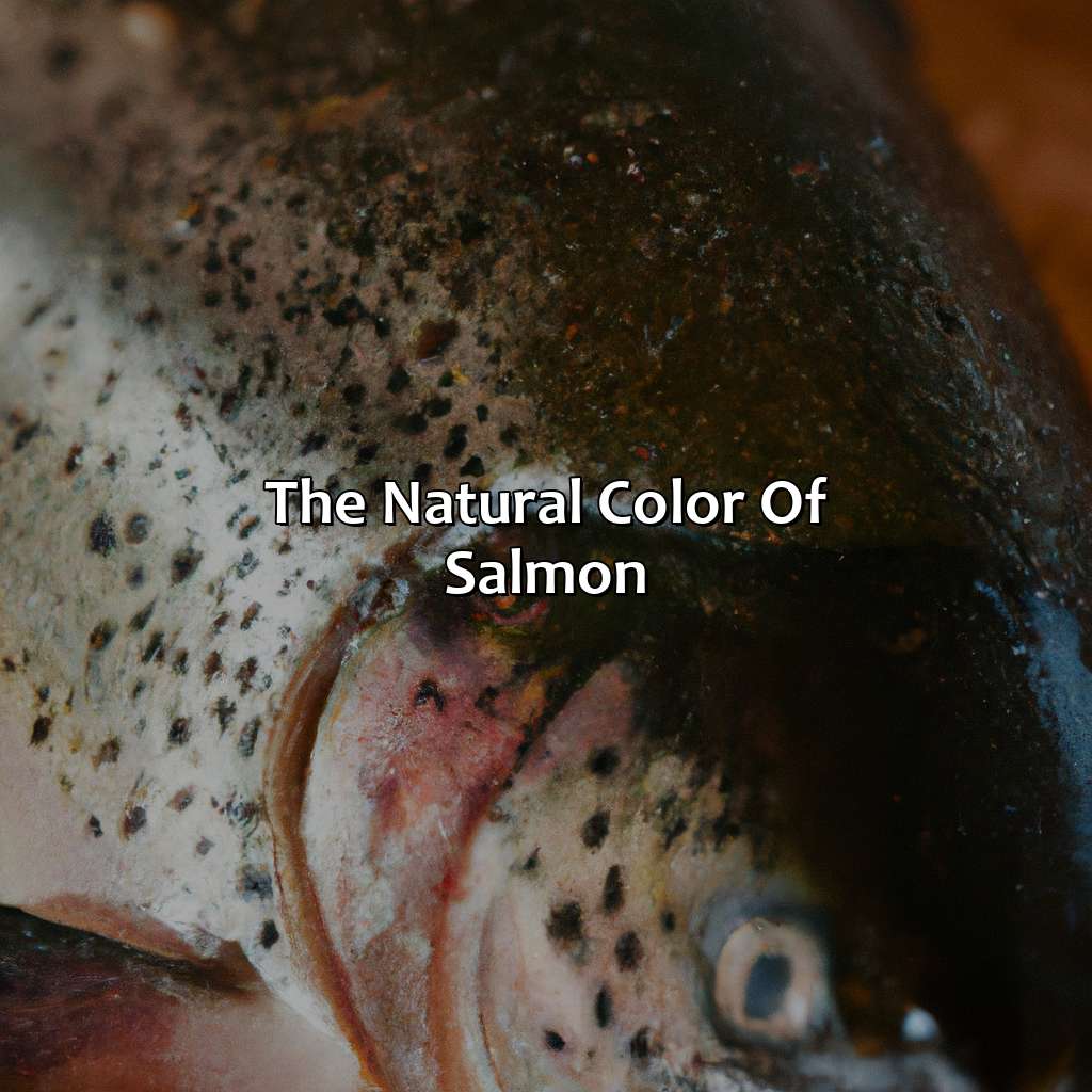 The Natural Color Of Salmon  - What Color Is Salmon, 