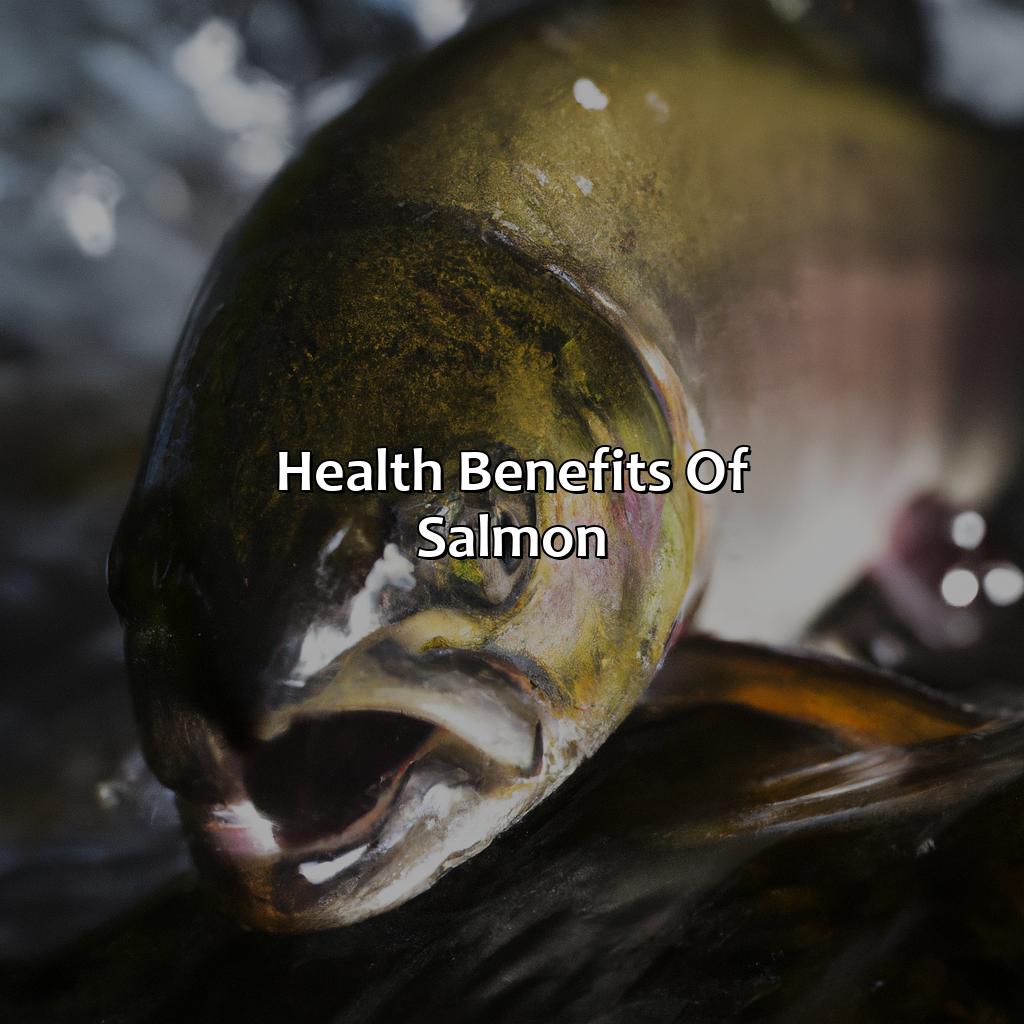 Health Benefits Of Salmon  - What Color Is Salmon Naturally, 
