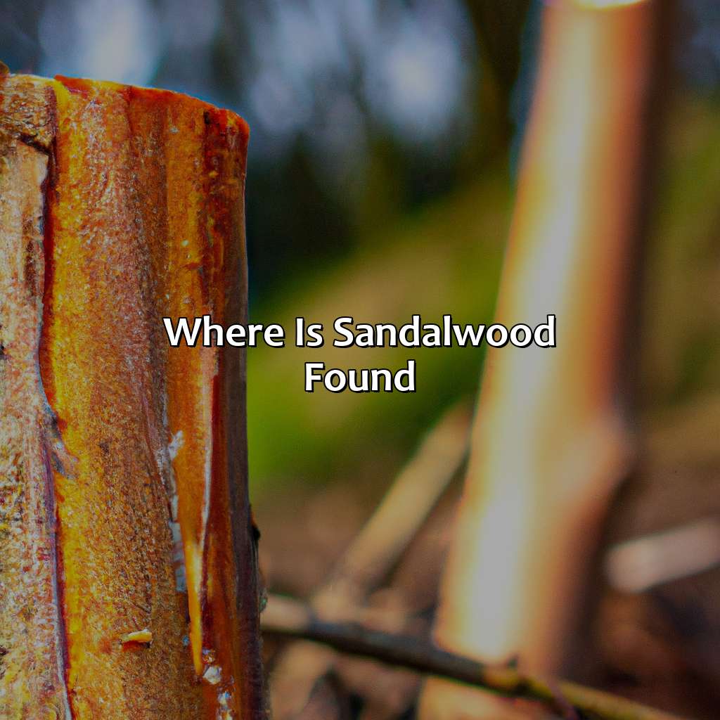 Where Is Sandalwood Found?  - What Color Is Sandalwood, 