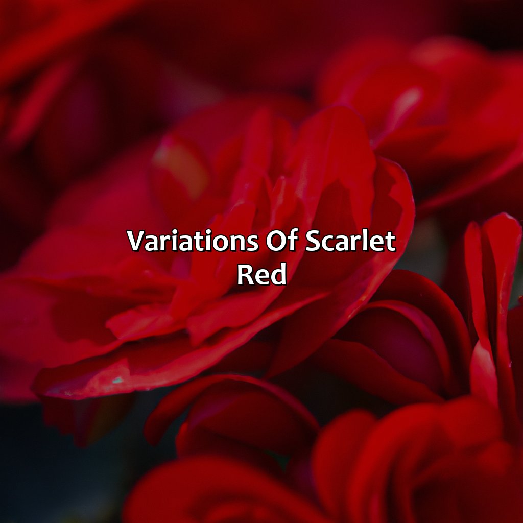 Variations Of Scarlet Red  - What Color Is Scarlet Red, 