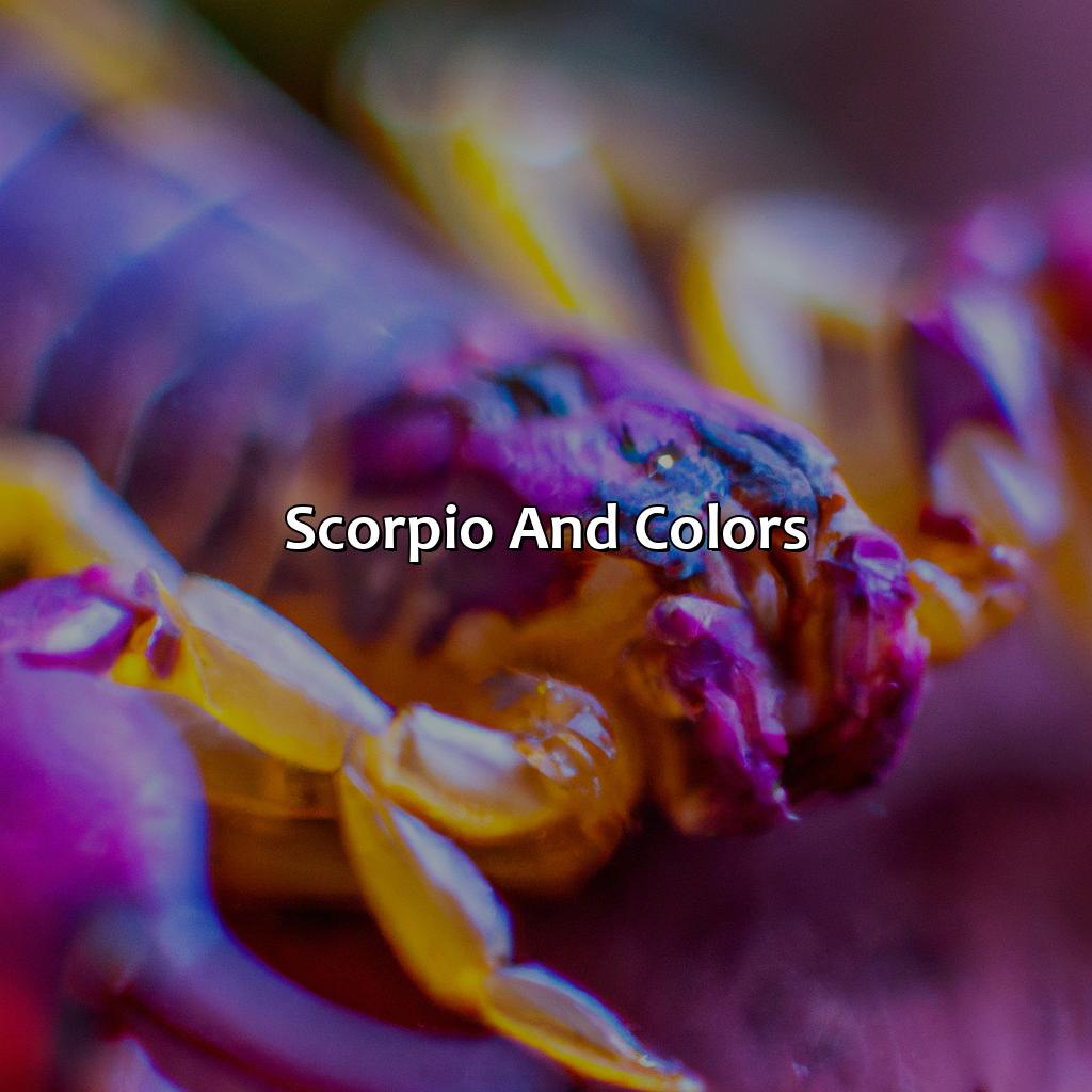 Scorpio And Colors  - What Color Is Scorpio, 