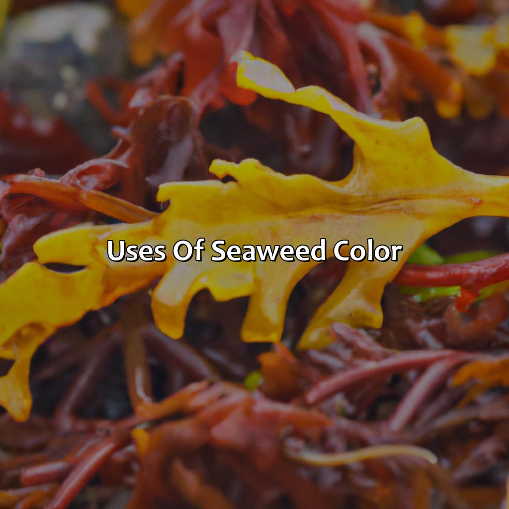 Uses Of Seaweed Color  - What Color Is Seaweed, 