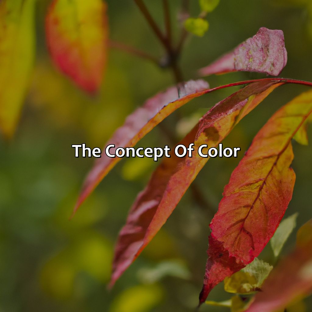 The Concept Of Color  - What Color Is September, 