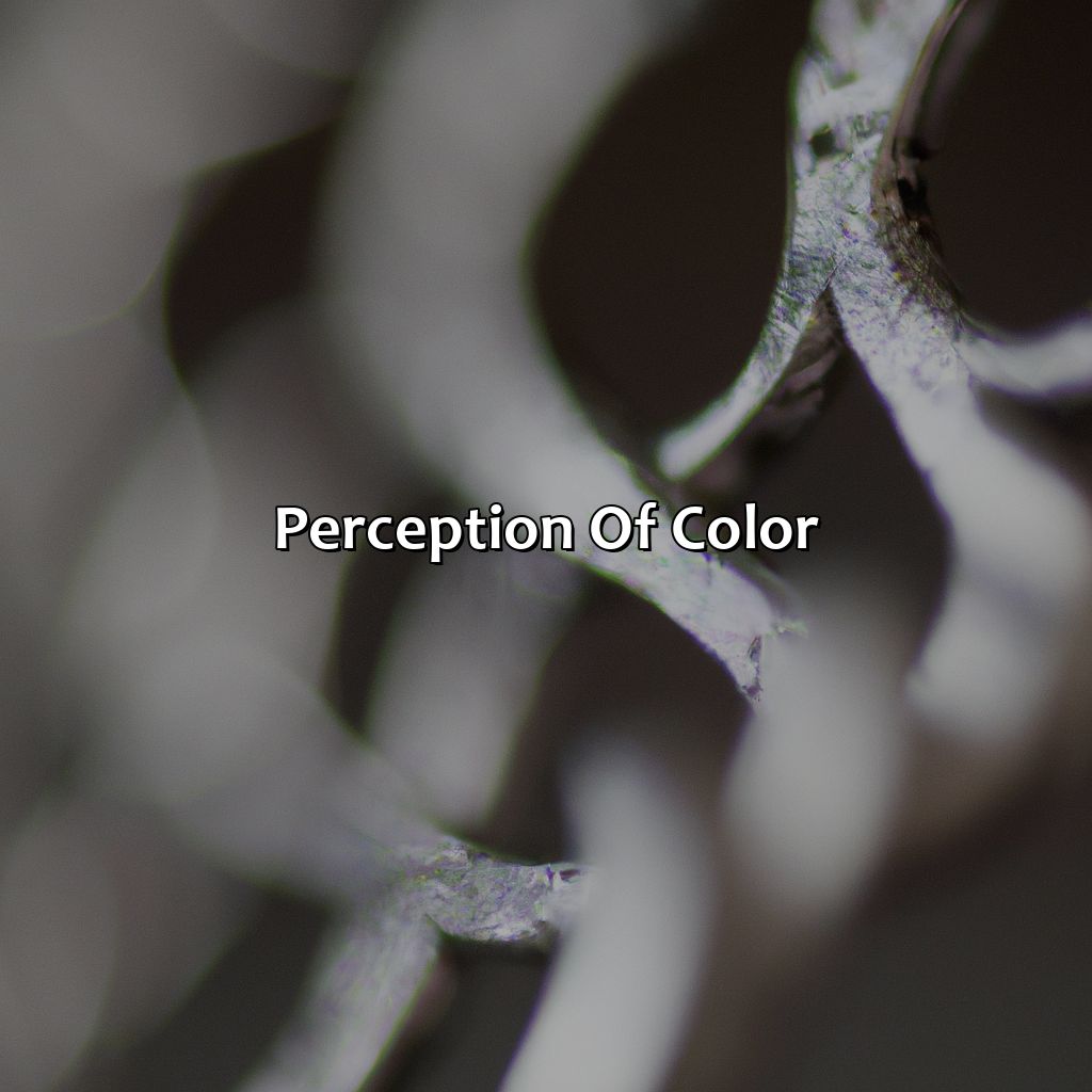 Perception Of Color  - What Color Is Silver, 