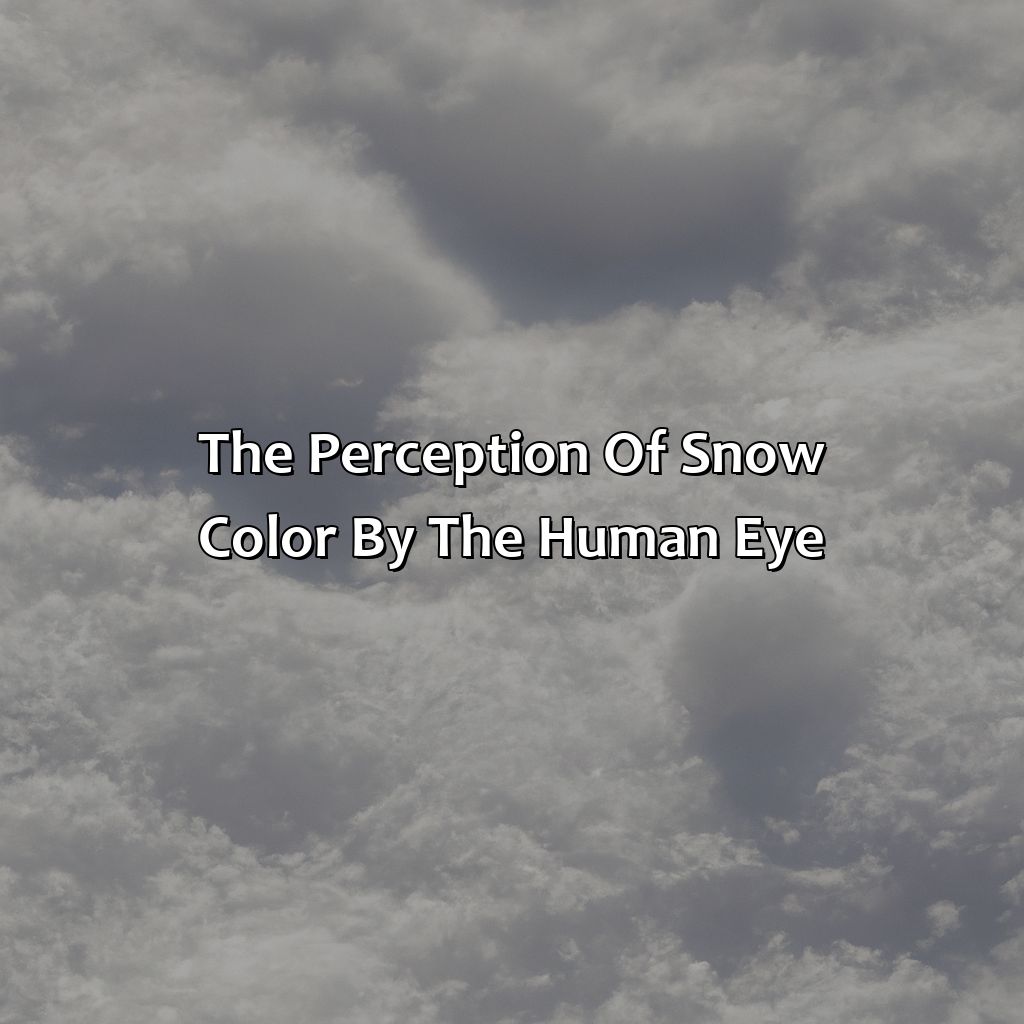 The Perception Of Snow Color By The Human Eye  - What Color Is Snow, 