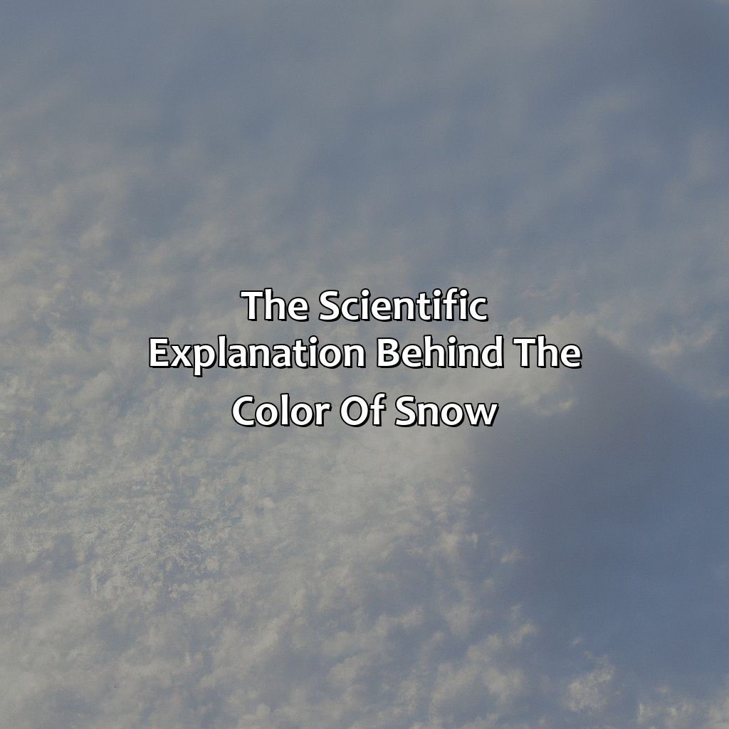 The Scientific Explanation Behind The Color Of Snow  - What Color Is Snow, 