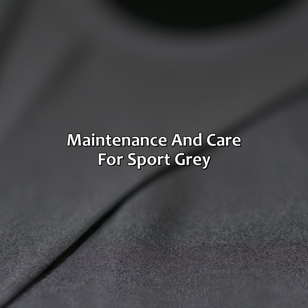 Maintenance And Care For Sport Grey  - What Color Is Sport Grey, 