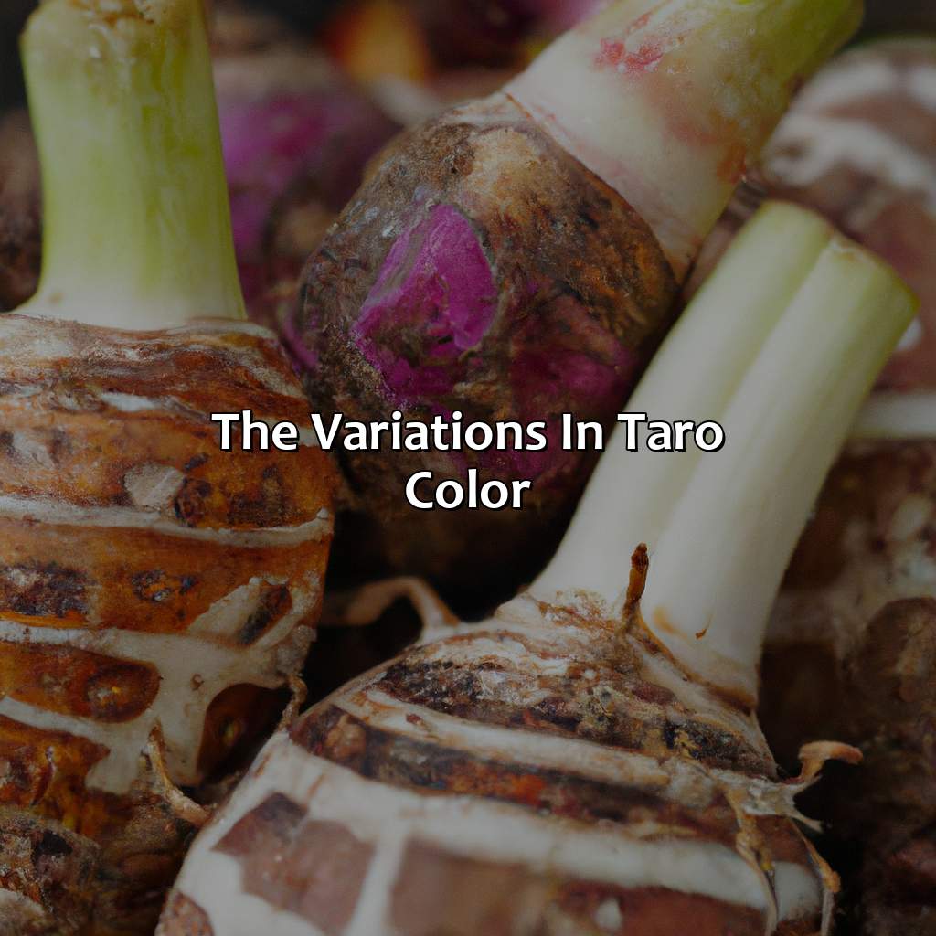 The Variations In Taro Color  - What Color Is Taro, 
