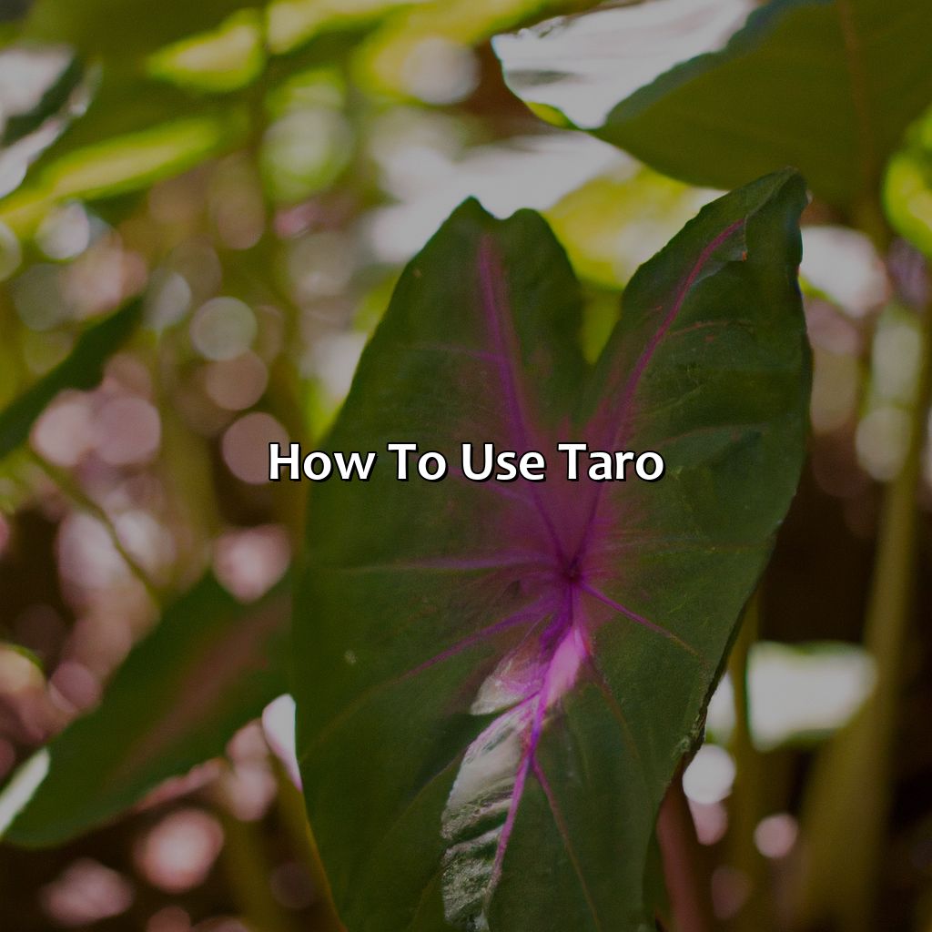 How To Use Taro  - What Color Is Taro, 