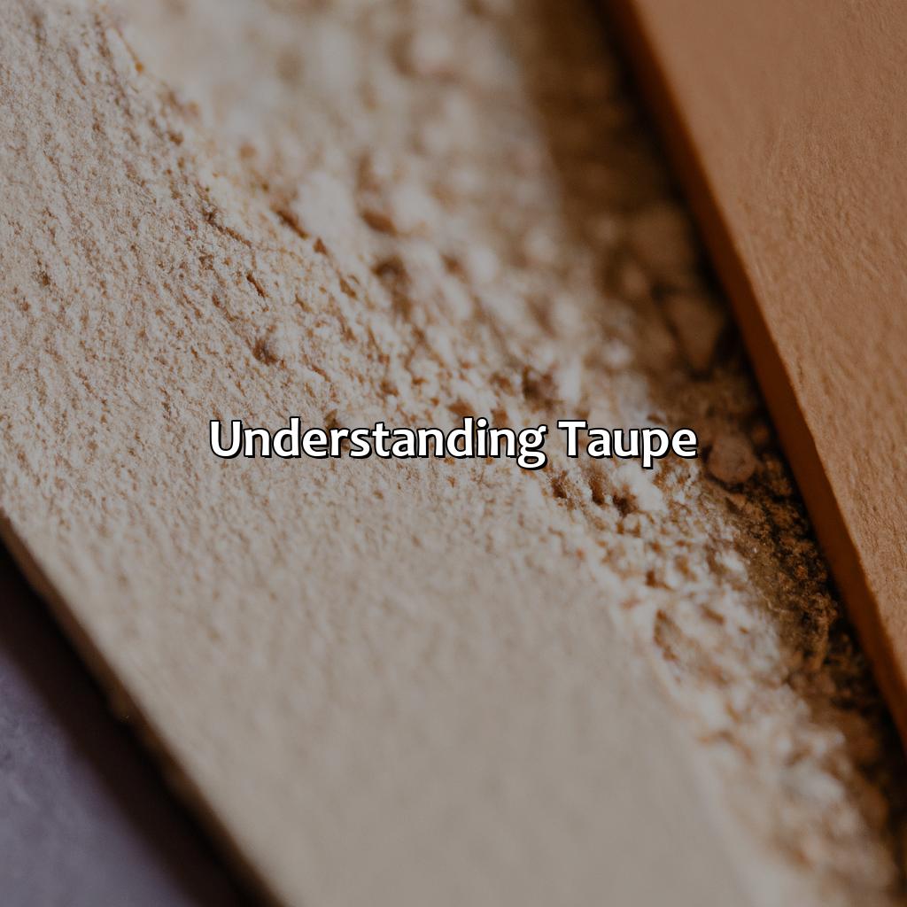 Understanding Taupe  - What Color Is Taupe, 