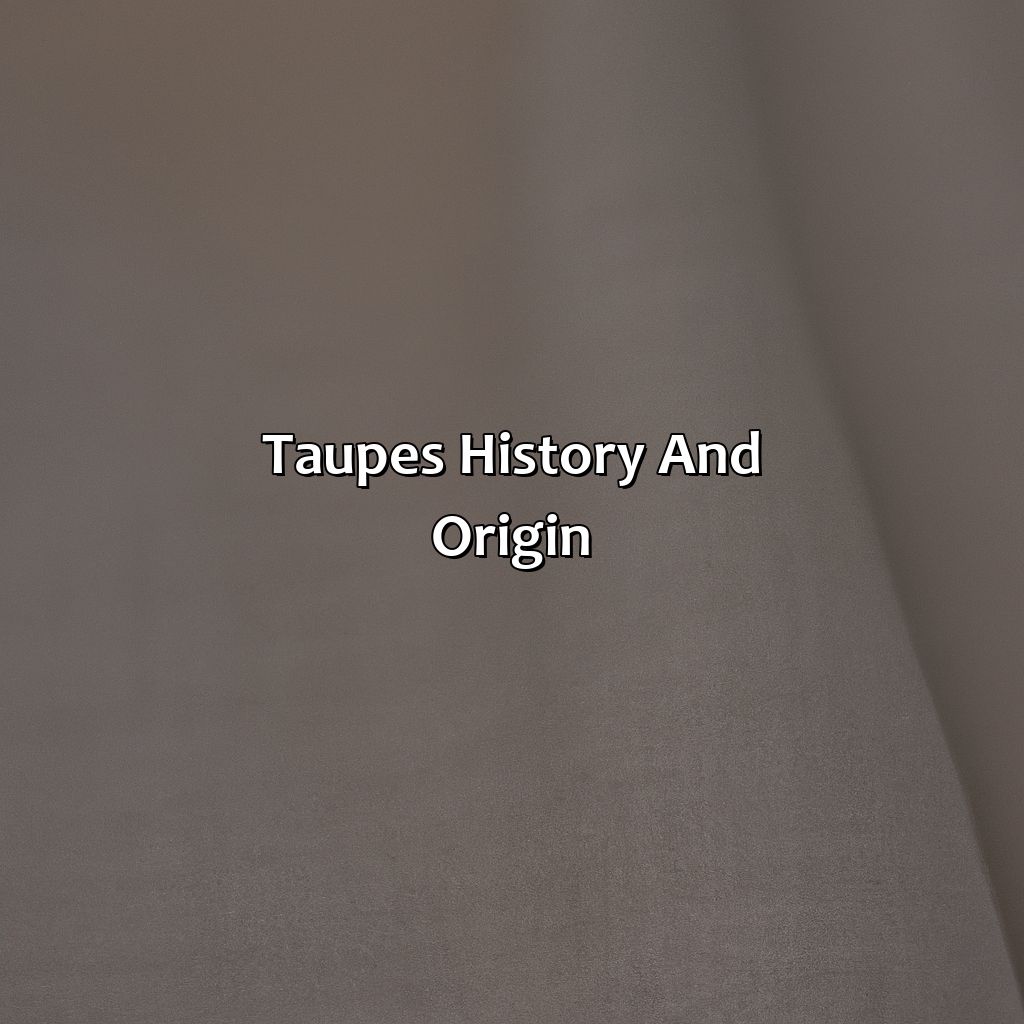 Taupe’S History And Origin  - What Color Is Taupe?, 