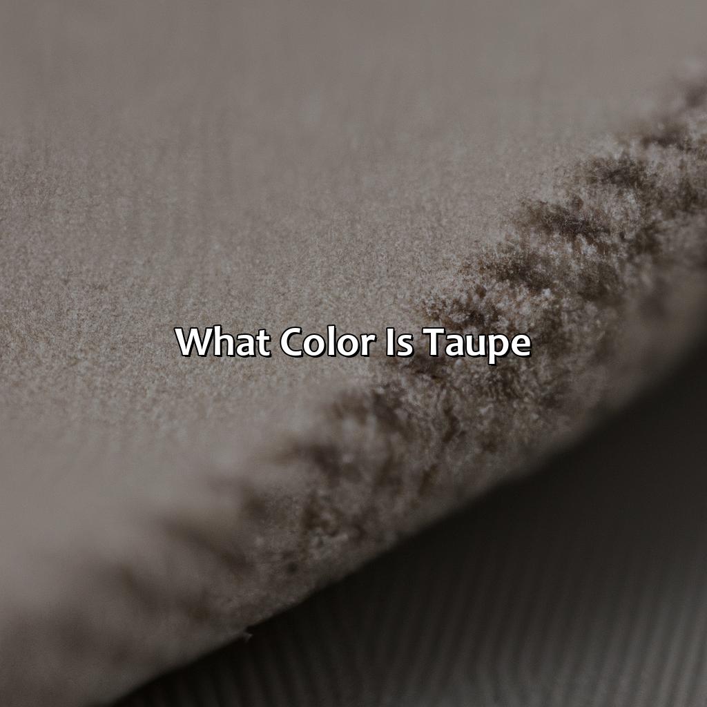 What Color Is Taupe? - colorscombo.com