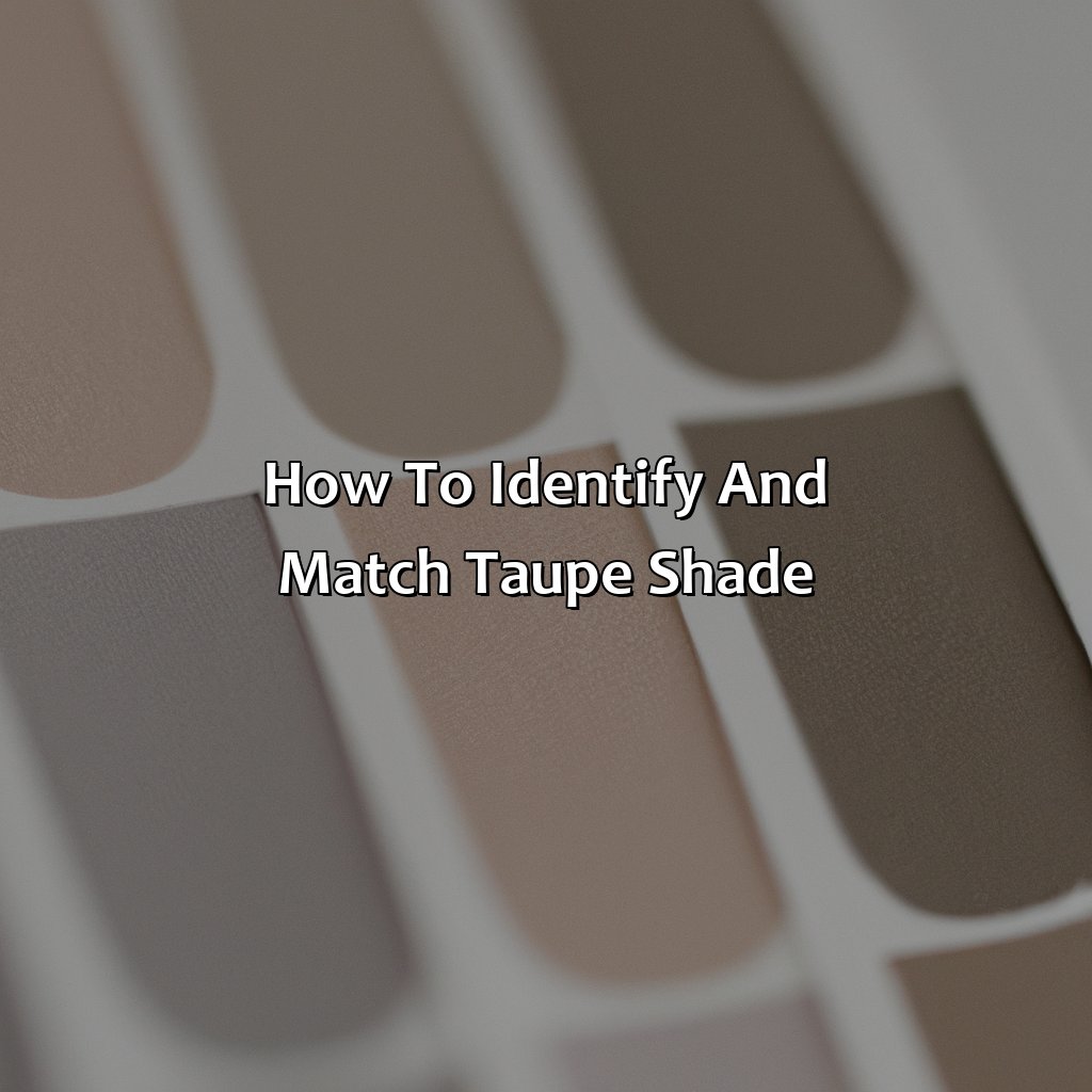 How To Identify And Match Taupe Shade  - What Color Is Taupe, 