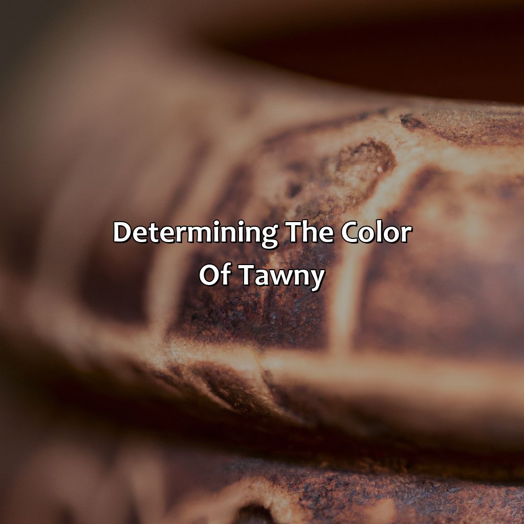 Determining The Color Of Tawny  - What Color Is Tawny, 