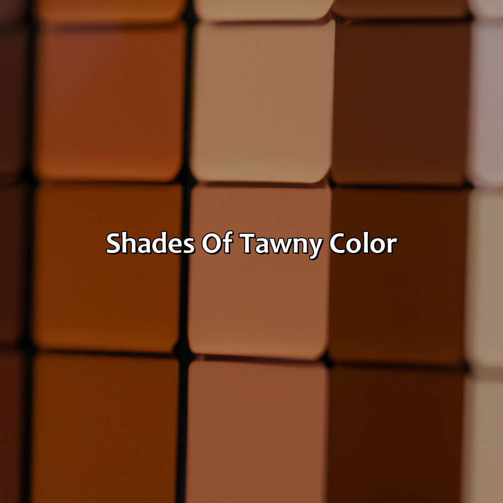Shades Of Tawny Color  - What Color Is Tawny, 
