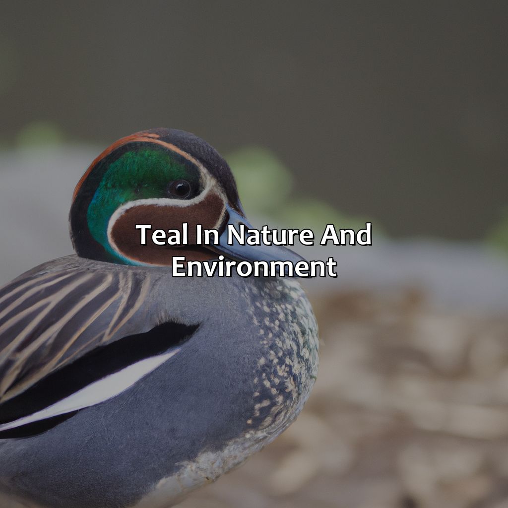 Teal In Nature And Environment  - What Color Is Teal?, 