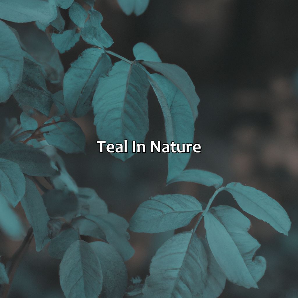 Teal In Nature  - What Color Is Teal, 
