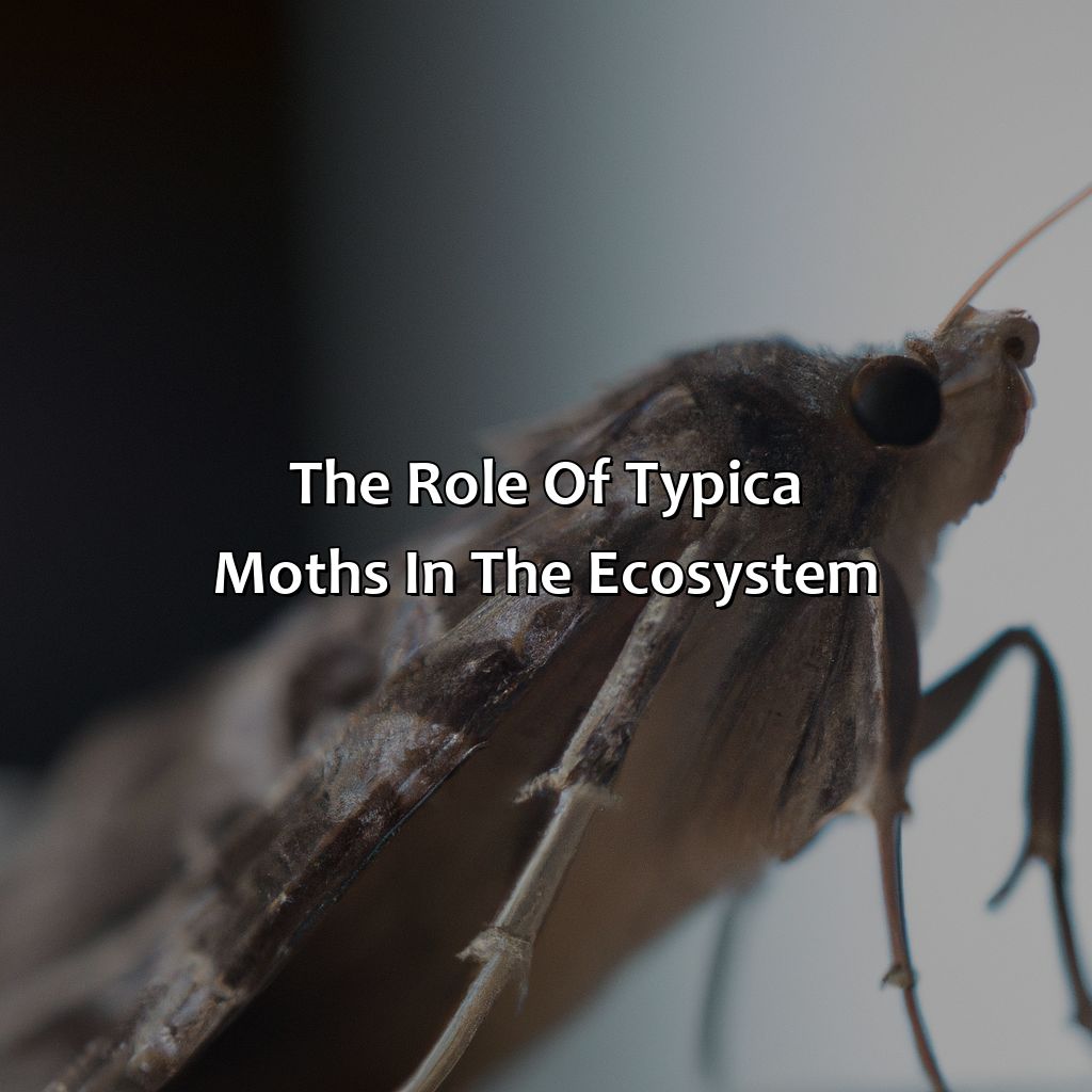 The Role Of "Typica" Moths In The Ecosystem  - What Color Is The "Typica" Version Of The Moths, 