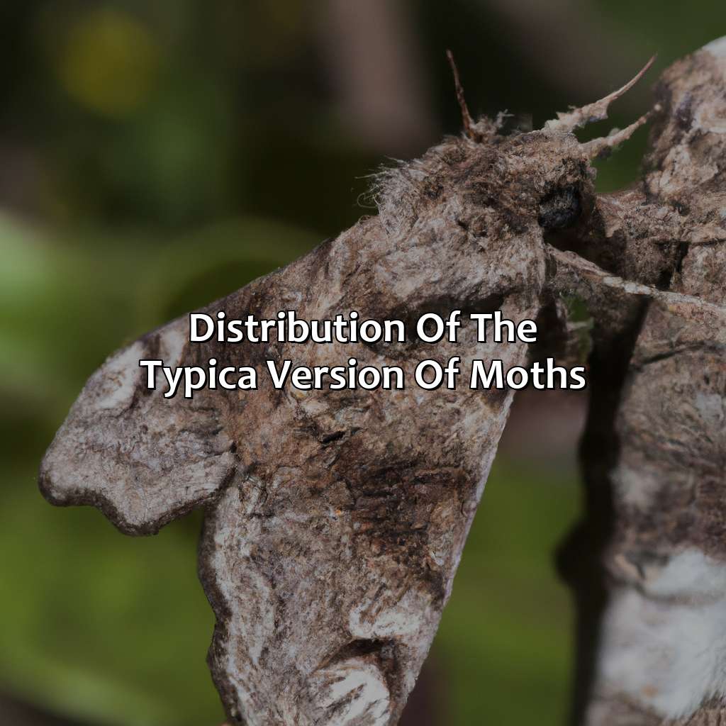 Distribution Of The "Typica" Version Of Moths  - What Color Is The "Typica" Version Of The Moths?, 