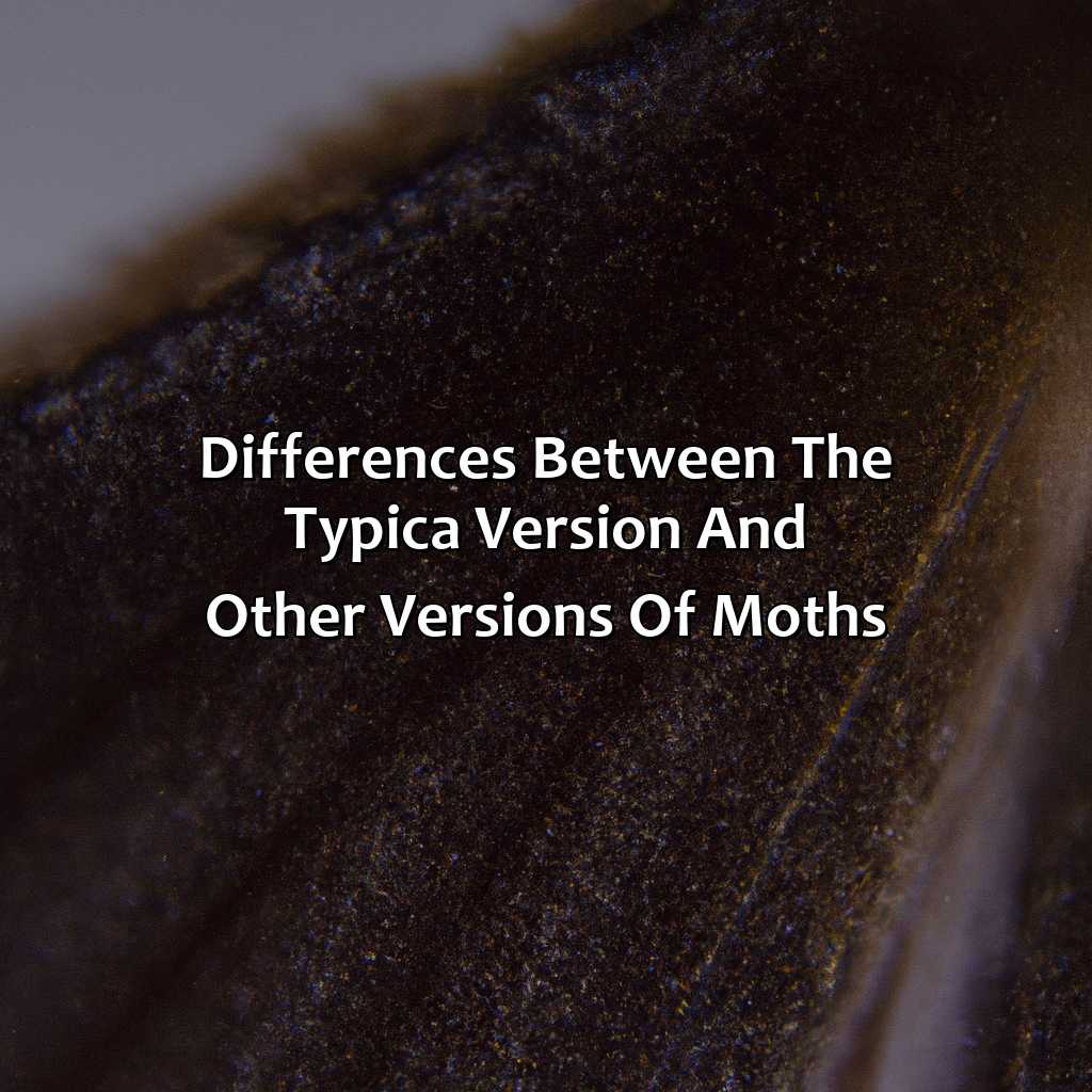 Differences Between The "Typica" Version And Other Versions Of Moths  - What Color Is The "Typica" Version Of The Moths?, 