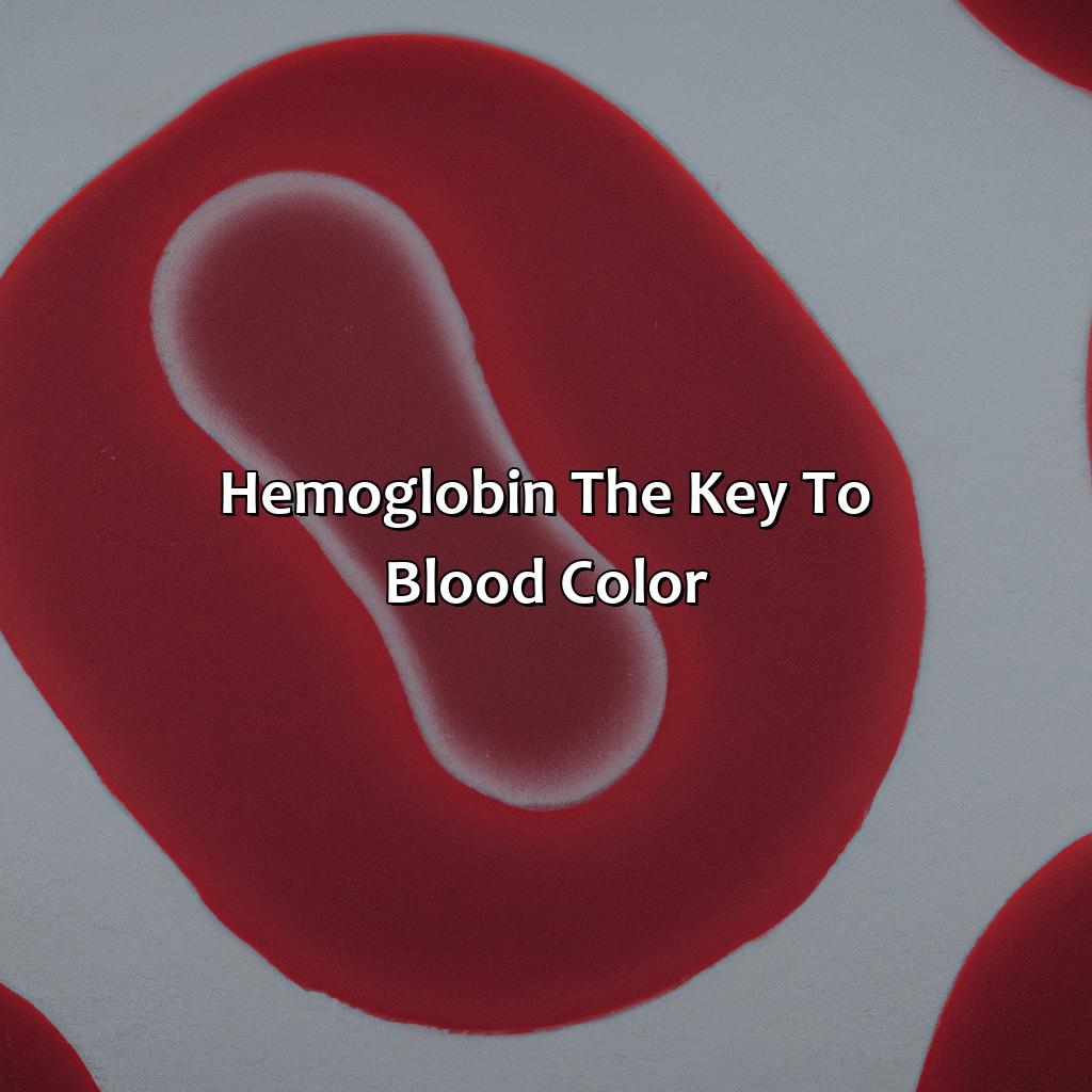 Hemoglobin: The Key To Blood Color  - What Color Is The Blood In Our Body, 