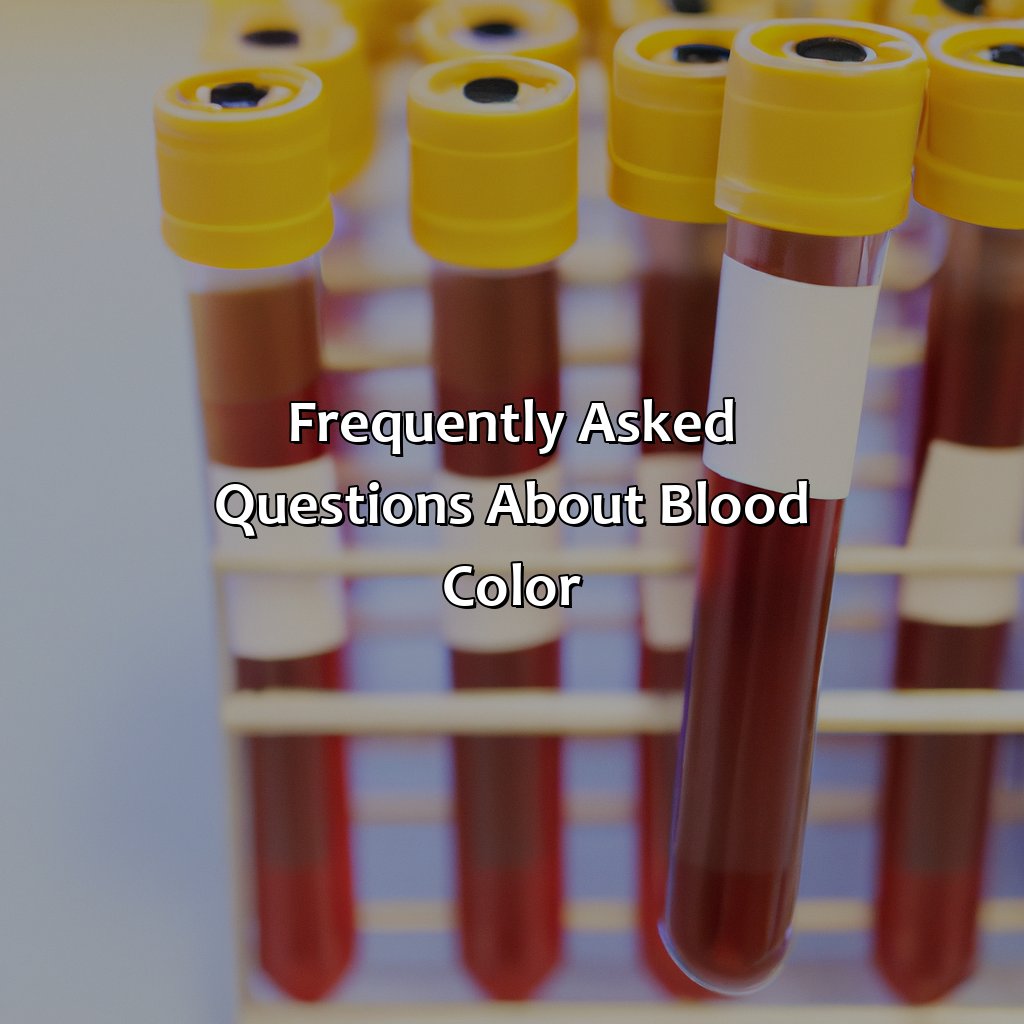 Frequently Asked Questions About Blood Color  - What Color Is The Blood In Our Body, 