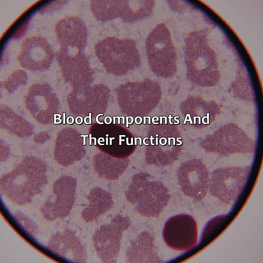 Blood Components And Their Functions  - What Color Is The Blood In Our Body, 