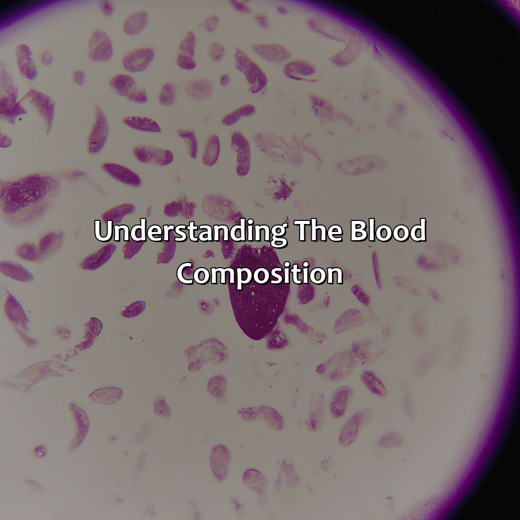 Understanding The Blood Composition  - What Color Is The Blood In Our Body, 