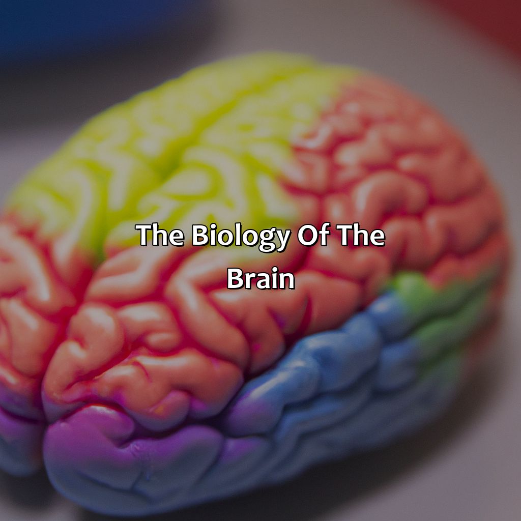 The Biology Of The Brain  - What Color Is The Brain, 