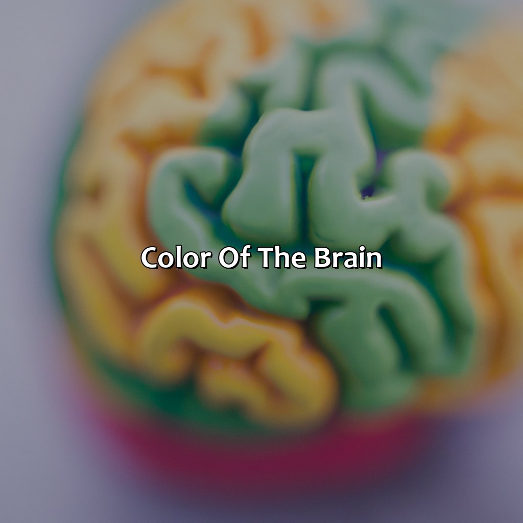 Color Of The Brain  - What Color Is The Brain, 