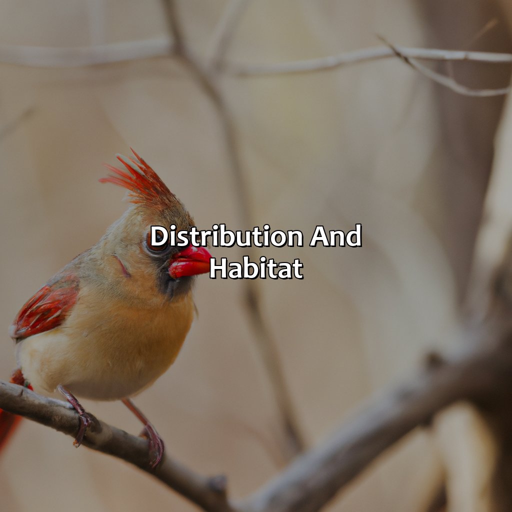 Distribution And Habitat  - What Color Is The Female Cardinal, 