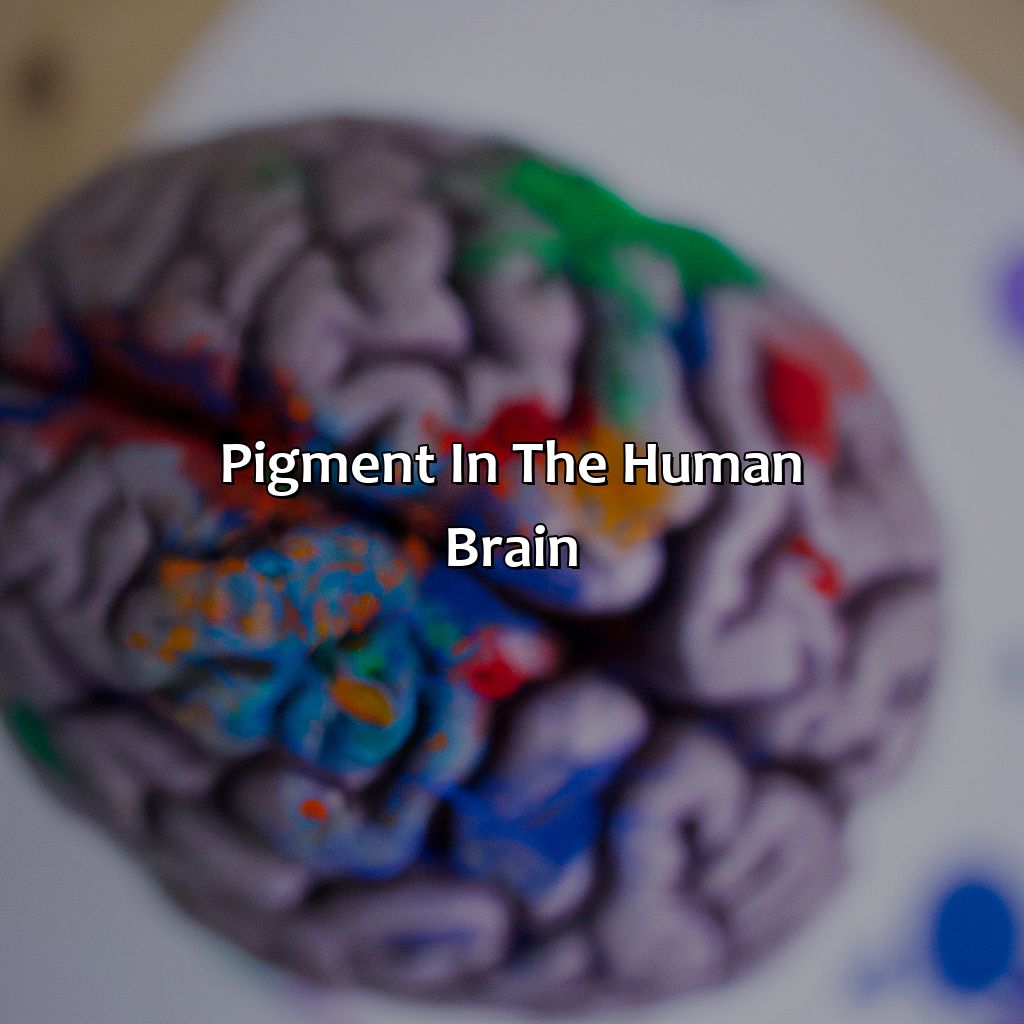Pigment In The Human Brain  - What Color Is The Human Brain, 