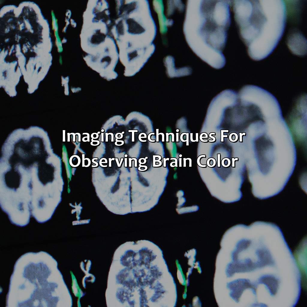Imaging Techniques For Observing Brain Color  - What Color Is The Human Brain, 