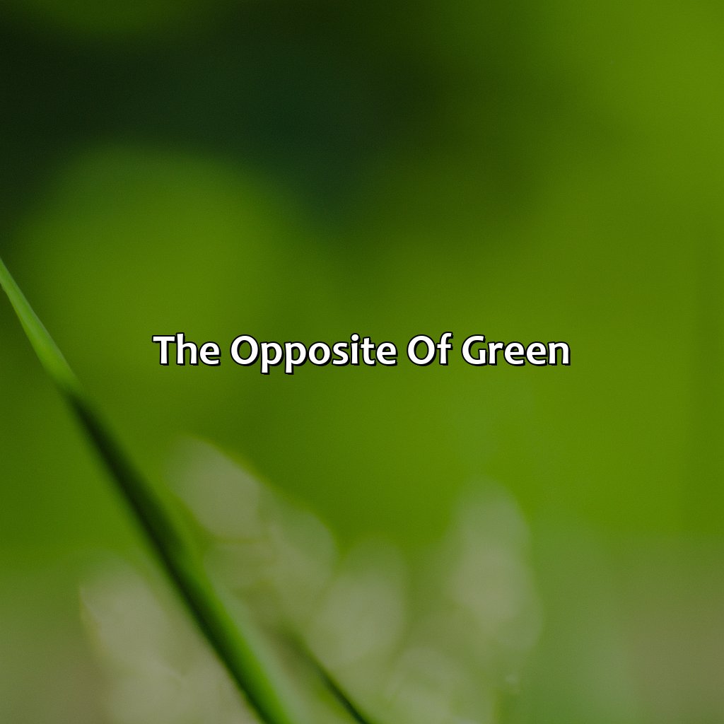 The Opposite Of Green  - What Color Is The Opposite Of Green, 