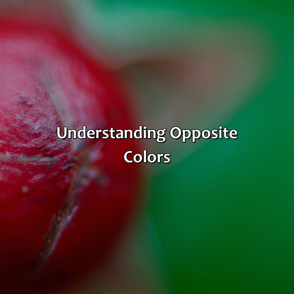 Understanding Opposite Colors  - What Color Is The Opposite Of Green, 