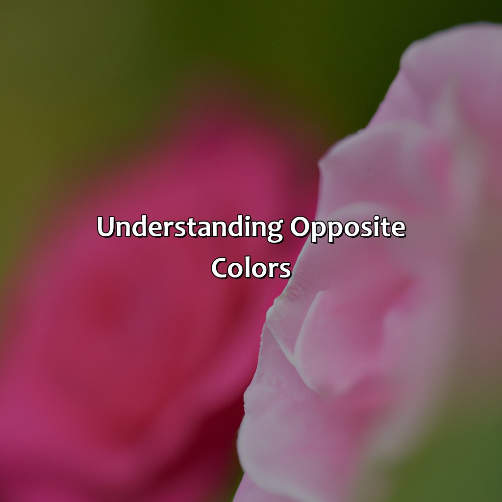 Understanding Opposite Colors  - What Color Is The Opposite Of Pink, 
