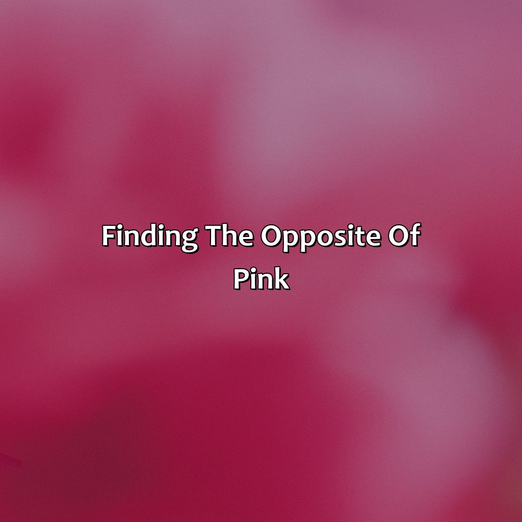 Finding The Opposite Of Pink  - What Color Is The Opposite Of Pink, 