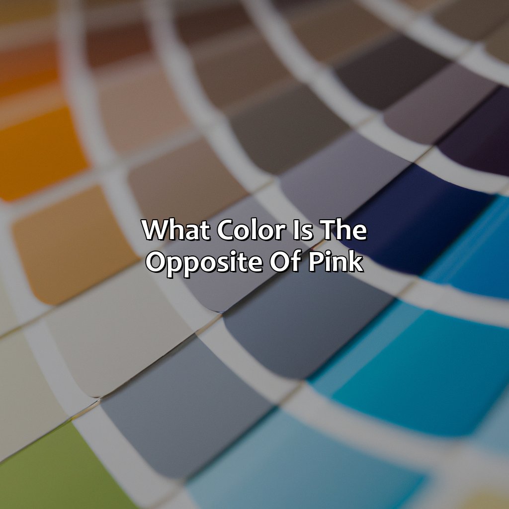 What Color Is The Opposite Of Pink - colorscombo.com