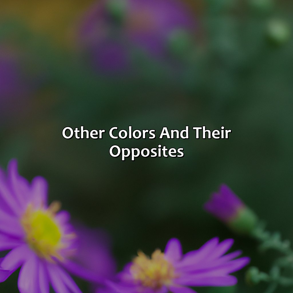 Other Colors And Their Opposites  - What Color Is The Opposite Of Purple, 