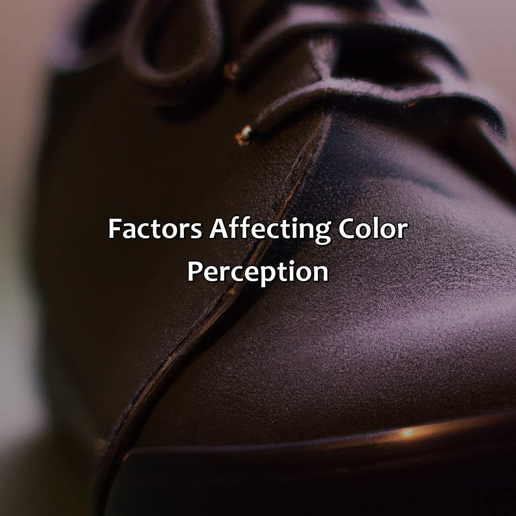 Factors Affecting Color Perception  - What Color Is This Shoe, 