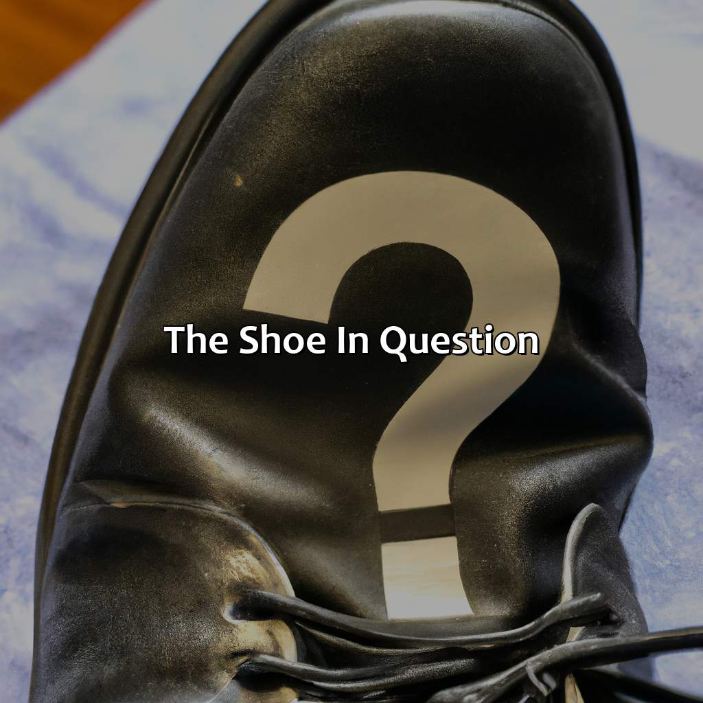 The Shoe In Question  - What Color Is This Shoe, 