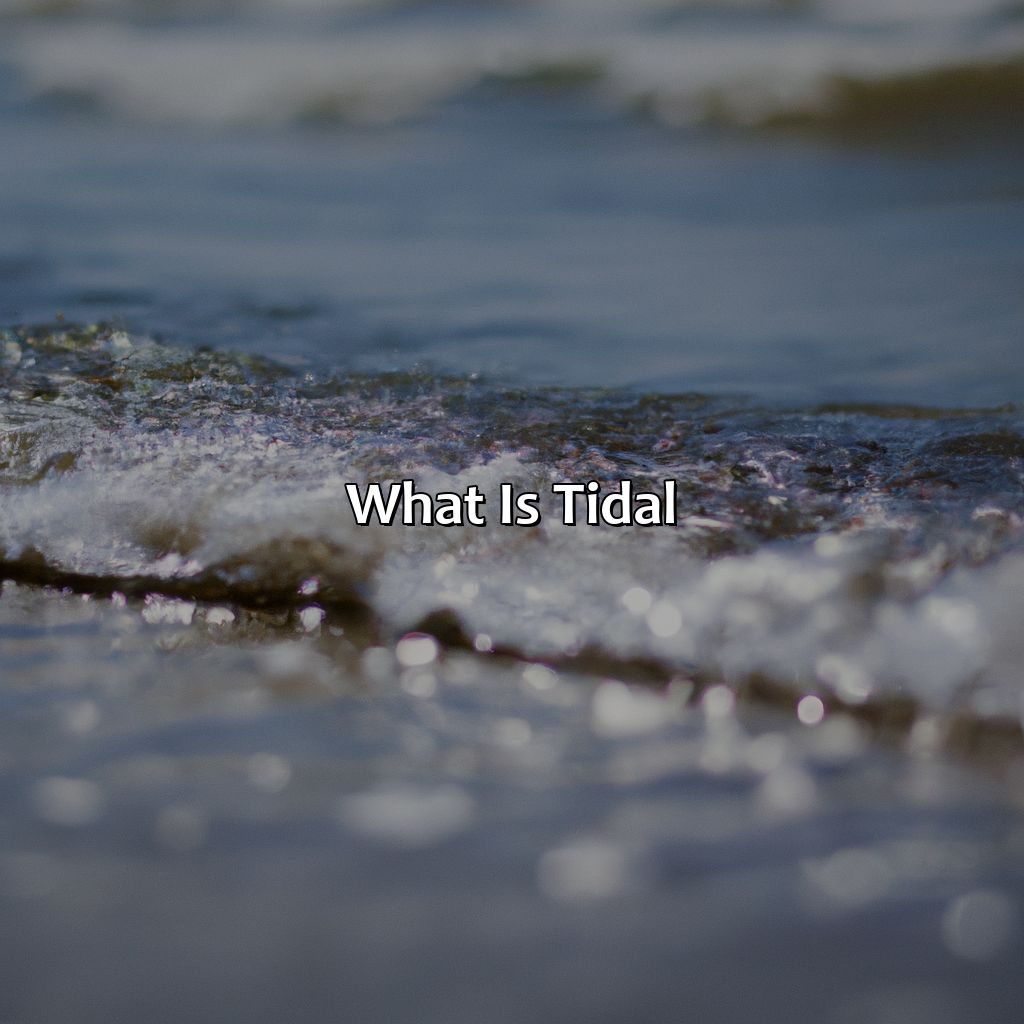 What Is Tidal?  - What Color Is Tidal, 