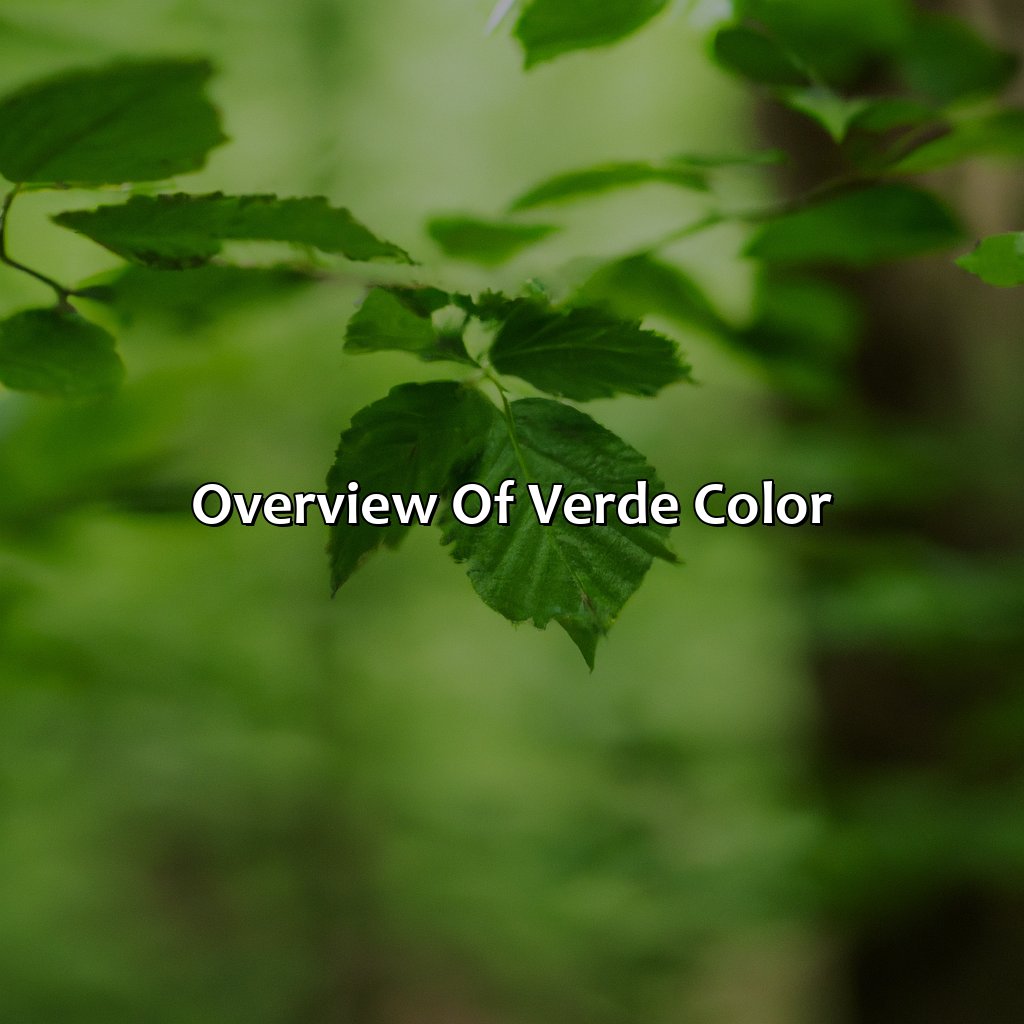 Overview Of Verde Color  - What Color Is Verde, 