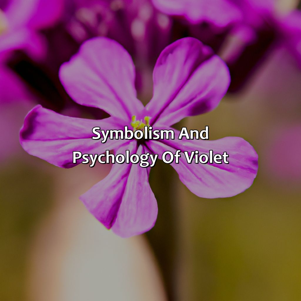 Symbolism And Psychology Of Violet  - What Color Is Violet, 