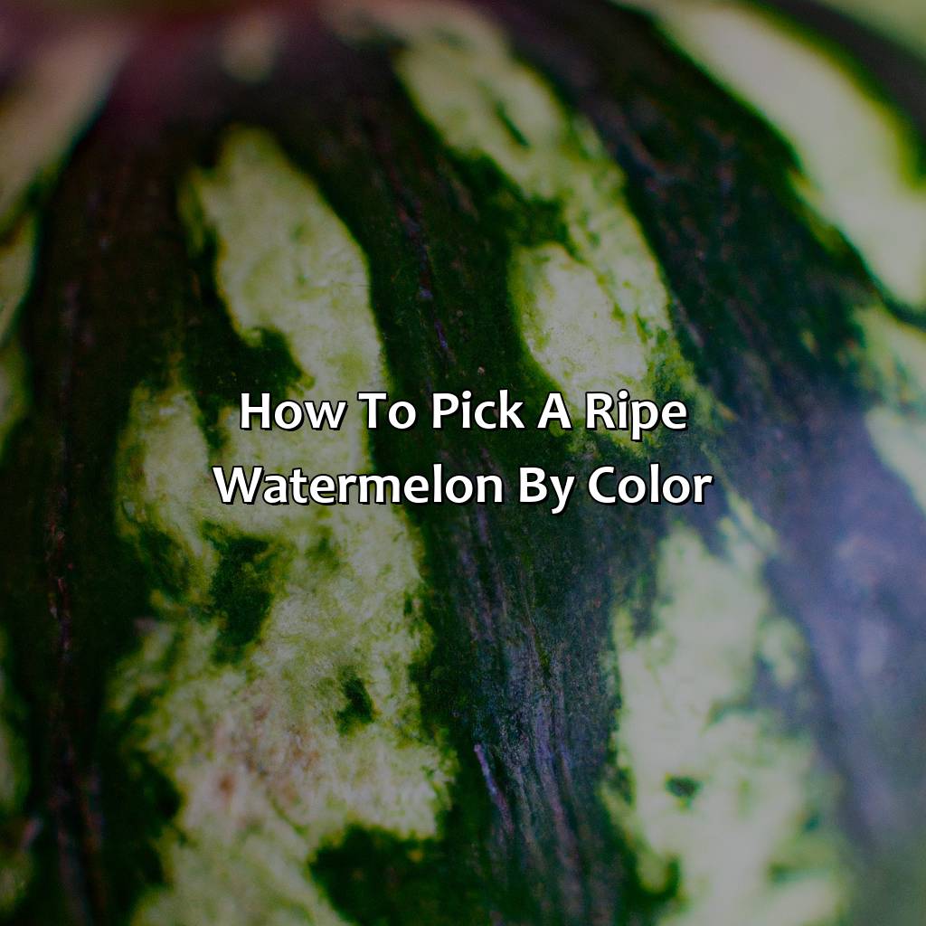How To Pick A Ripe Watermelon By Color  - What Color Is Watermelon, 