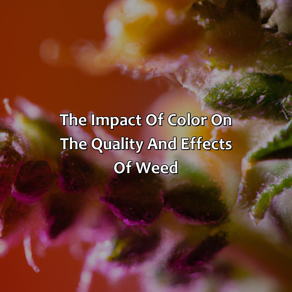 The Impact Of Color On The Quality And Effects Of Weed  - What Color Is Weed, 