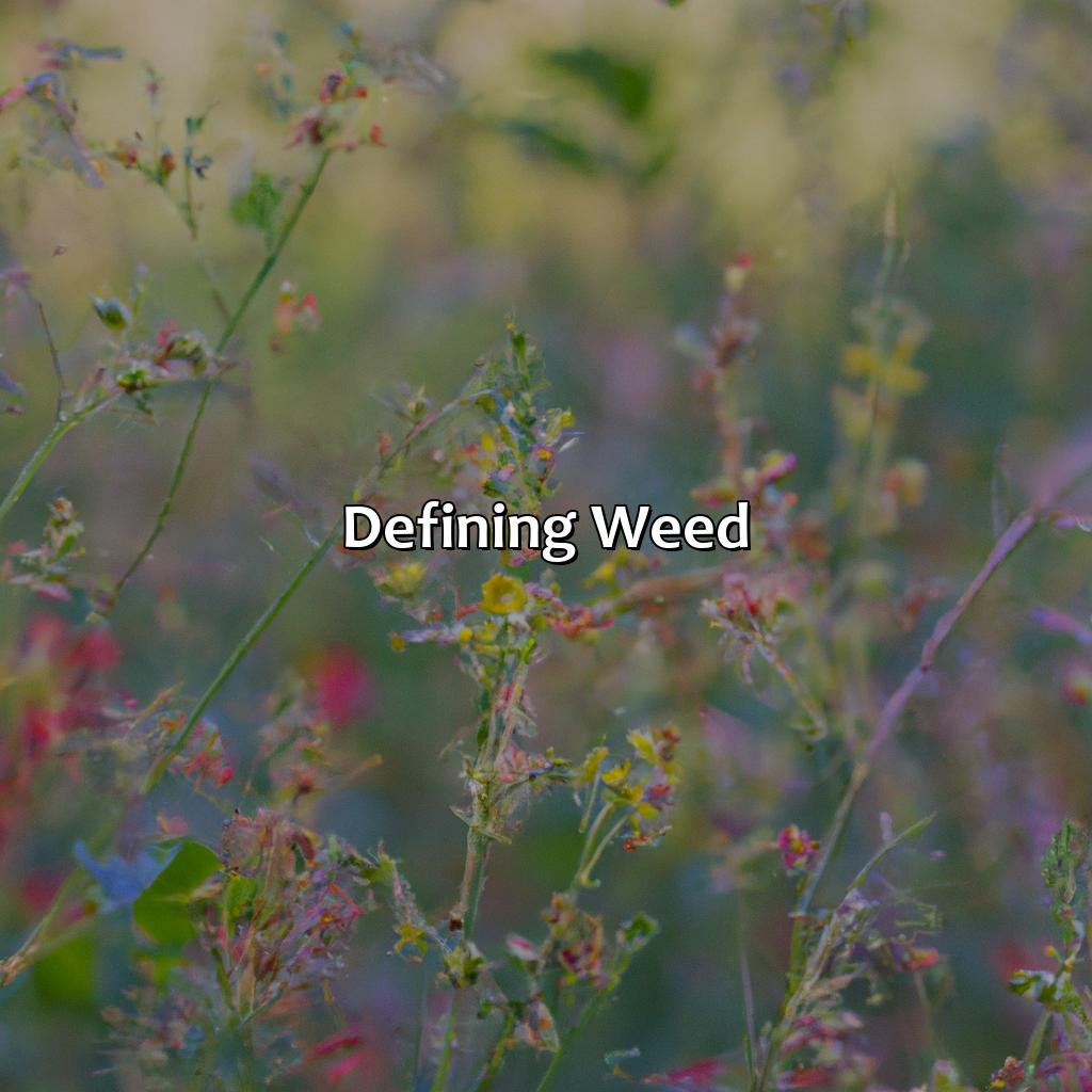 Defining Weed  - What Color Is Weed, 
