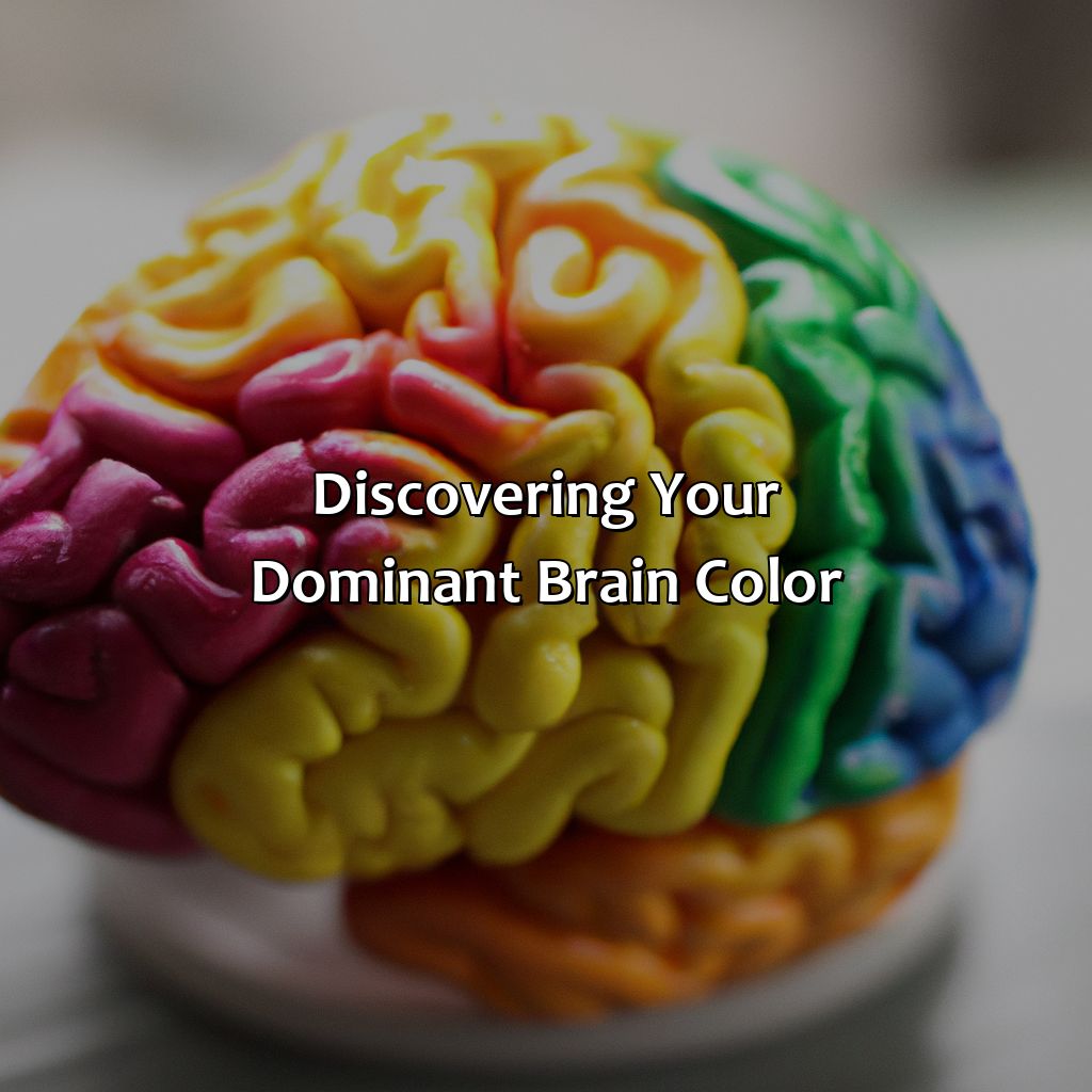 Discovering Your Dominant Brain Color  - What Color Is Your Brain, 